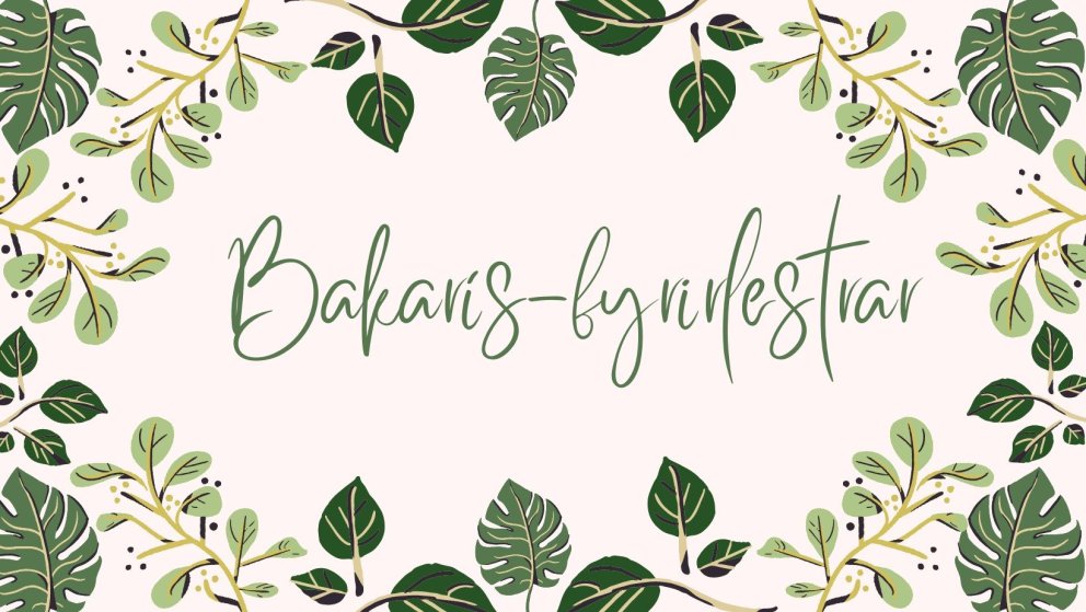 Bakarís-fyrirlestur: Það þarf þorp: Seinfærir foreldrar og glíman við kerfið